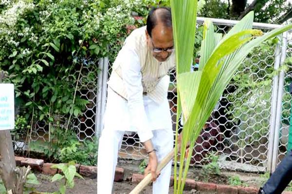 मुख्यमंत्री श्री चौहान ने नारियल का पौधा रोपा